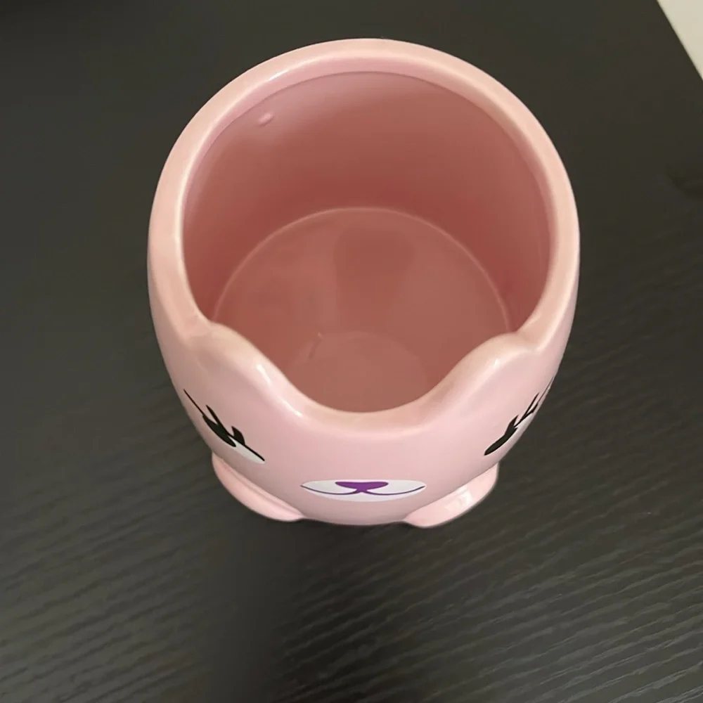 Cat make up or pencil holder